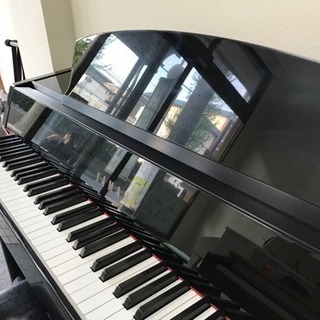 ヤマハ DGP-5の画像