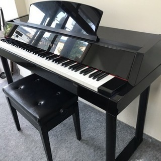 ヤマハ DGP-5の画像