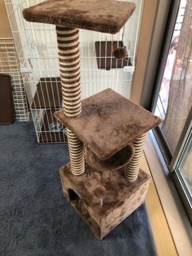 キャットタワー
