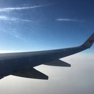 カフェなどで読書しませんか