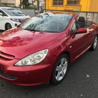 電動オープンプジョー３０７CC  ☆スポーツタイプ　S16　フル...