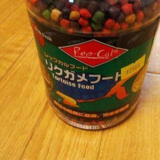 リクガメフード