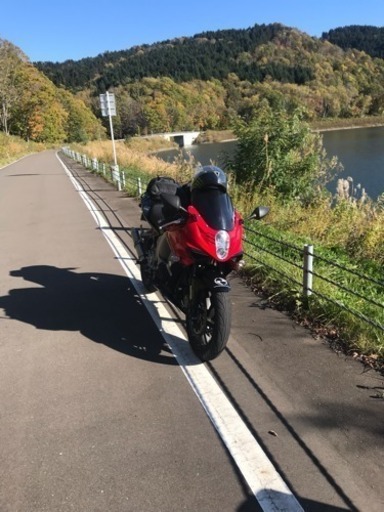 HYOSUNG  GT 250R     希少キャブ車 (赤黒)