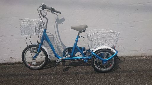 スィングチャーリー ロータイプ ブルー