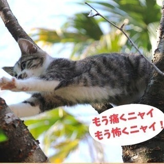 自然治癒力は本当はこうして使います！脳が変わればカラダ問題は解決...