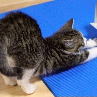 痛くない ! 辛くない ! ゆる～いストレッチで体スッキリ ♪