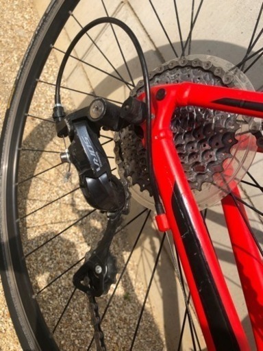 GIANT CONTEND1
