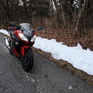 ライダーチームメンバー募集！！