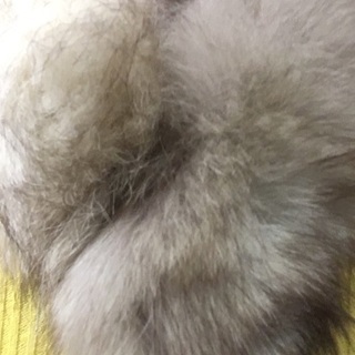 《美品》洋装&和装兼用  毛皮ショール