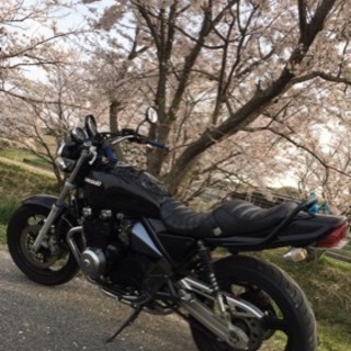 ゼファーの画像