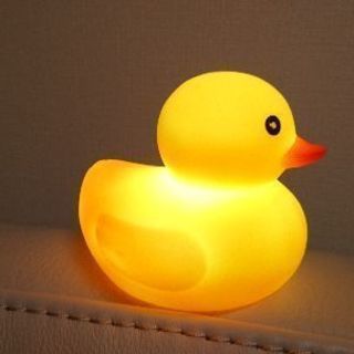 【お引渡し予定中】光るアヒル