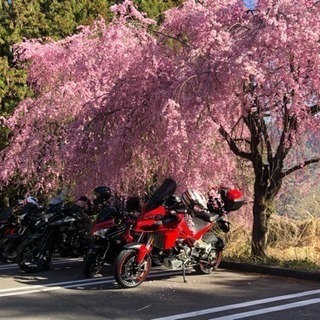 新規ツーリング仲間募集(大型 限定) - 平塚市