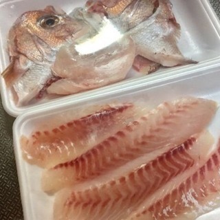 釣り  魚を刺身にして下さい。