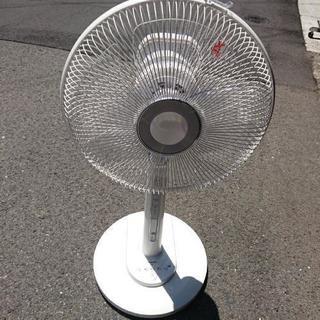 TOSHIBA 扇風機