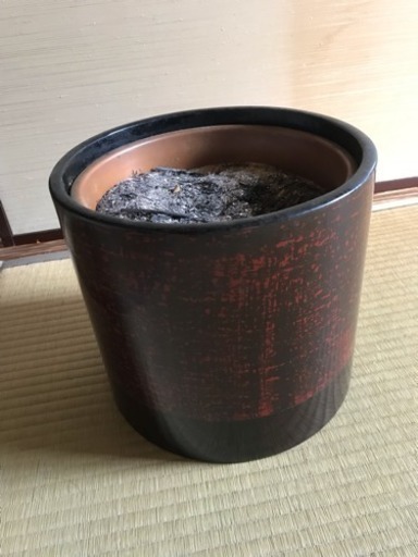 丸火鉢 木製 塗り レトロ  灰入り