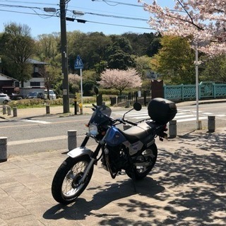 TW200 ほぼノーマル 自賠責保険 33/1まであります 交換可の画像