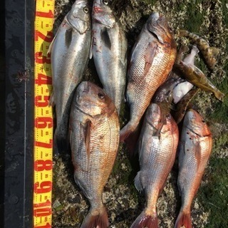 青森ボート釣り仲間募集