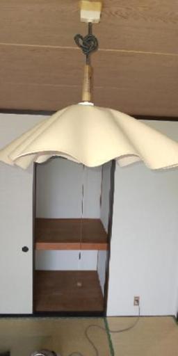 電気傘お揃い2個