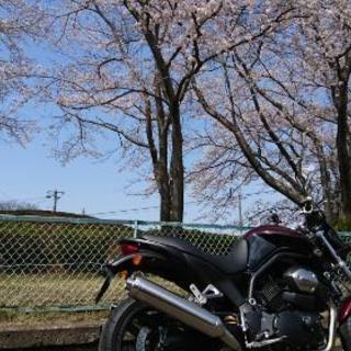 4月28日(日曜)千葉房総ツーリング　メンバー募集