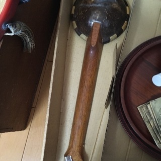 ココナツのマンドリンの画像