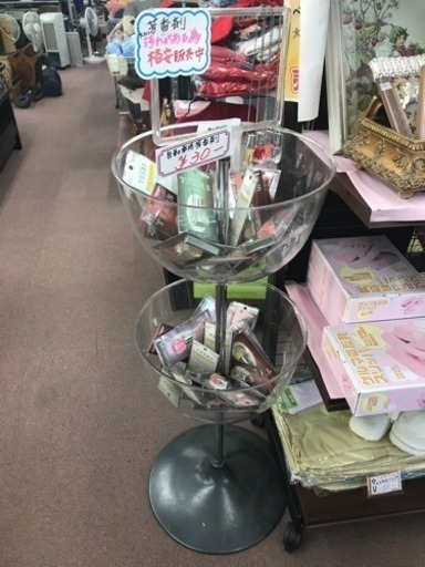 ★ゴールデンウィークSALE開催中‼︎ ディスプレイ用ケース
