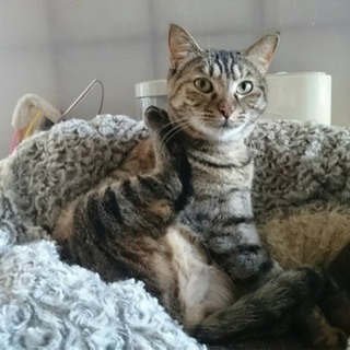 甘えん坊の可愛い子