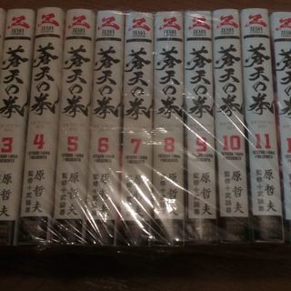 蒼天の拳新装版全巻セット