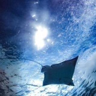 水族館