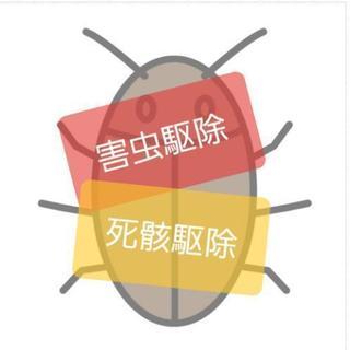 害虫駆除　ゴキブリ　動物の死骸撤去　退治　夜間対応