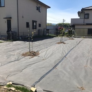 ぶどう棚の作り方を教えて下さい