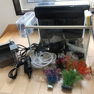 40センチ水槽 他諸々