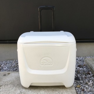  クーラーボックス 28  igloo(イグルー) ※使用は１日のみ