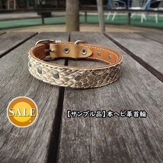 【新品・1点もの・サンプルセール・全国発送可】　本ヘビ革製首輪s...