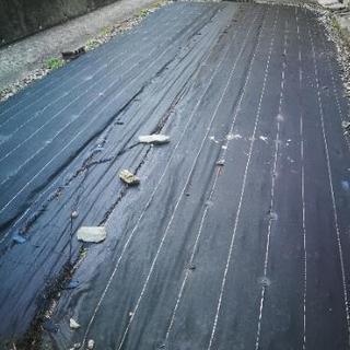 和歌山市雑賀崎　一戸建て平屋　賃貸 - 不動産