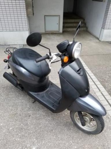 【決まりました！】原付バイク　ホンダ「トゥデイ」50cc