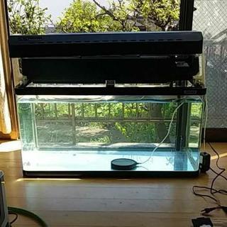 90センチ水槽