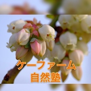 ケーファーム自然塾 