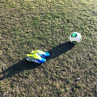 トレーニングパートナー募集