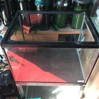 ガラス水槽、アクア用品、熱帯魚