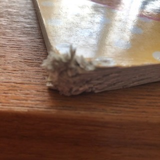 ぼろぼろ絵本2冊