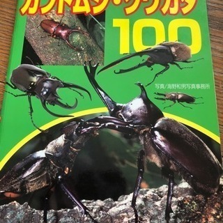 ぼろぼろ絵本2冊の画像
