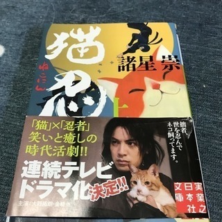 猫忍の画像