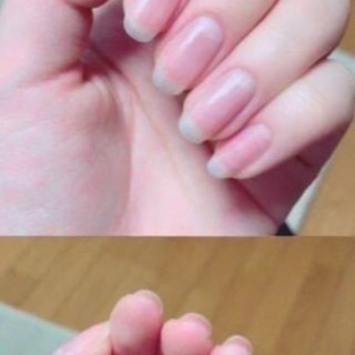 ネイルモデル募集