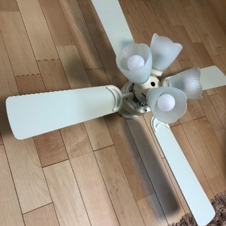 シーリングファンライト