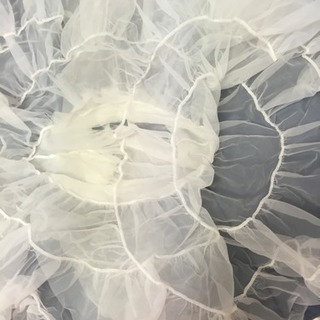 チュチュ の画像