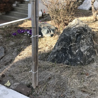 庭の整備、整地、撤去