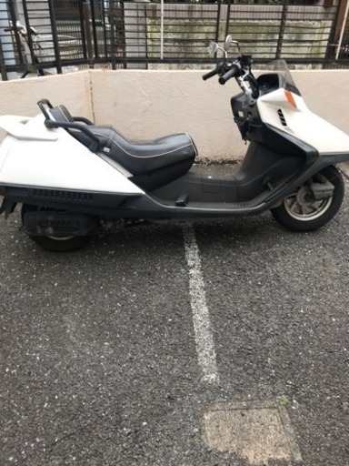 フュージョン 自賠責2年付き