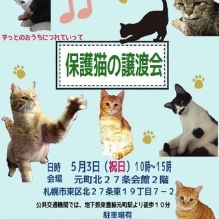 保護猫の譲渡会  札幌