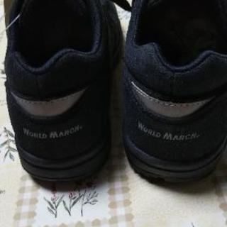 24センチ  無料の画像