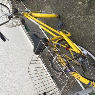 名車カマキリ！